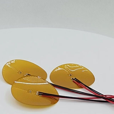 500V 260 Graad Polyimide Heater Element For Industrial Multifunctional